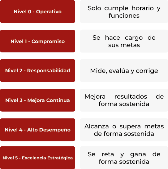 Gestión de Equipo