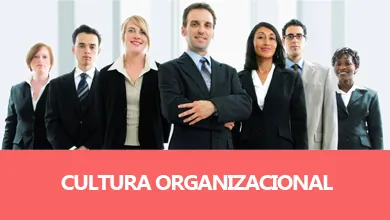 Cultura Organizacional
