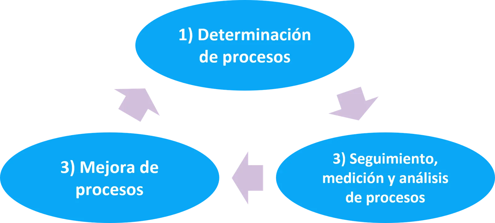 Fases de la gestión por procesos